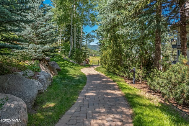 600 Vail Valley Dr Unit 310, Vail, CO 81657 - view of home's community with a yard