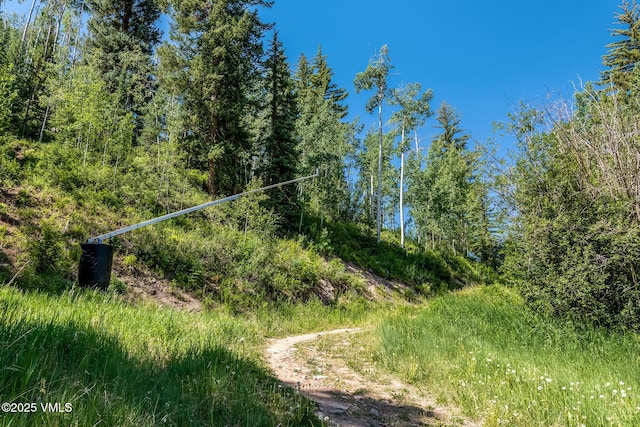 600 Vail Valley Dr Unit 310, Vail, CO 81657 - view of undeveloped land