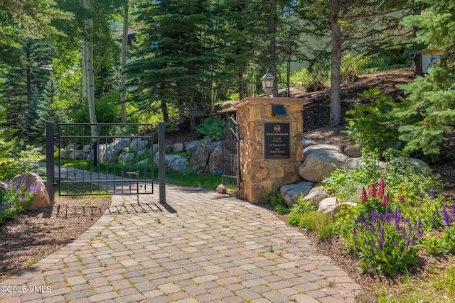 600 Vail Valley Dr Unit 310, Vail, CO 81657 - view of gate