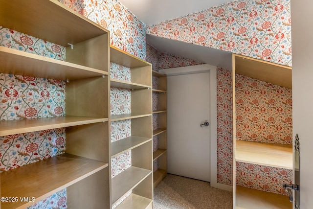 600 Vail Valley Dr Unit 310, Vail, CO 81657 - walk in closet with carpet flooring