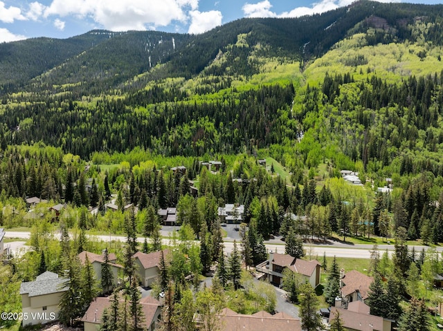 4515 Bighorn Rd, Vail, CO 81657 - mountain view with a heavily wooded area