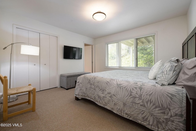 4515 Bighorn Rd, Vail, CO 81657 - bedroom with light carpet and a closet