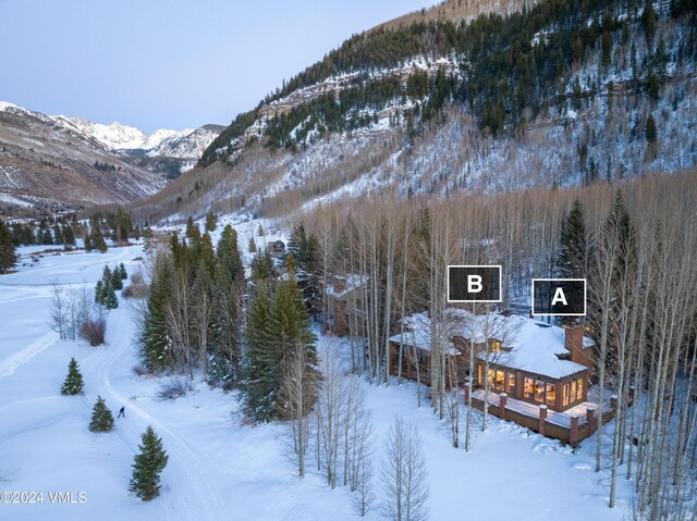 1895 Sunburst Drive A (West Side), Vail, CO 81657 - photo 38