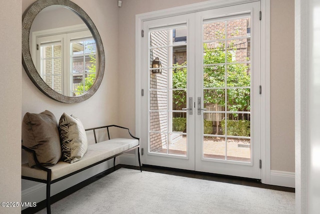 450 Steele St, Denver, CO 80236 - entryway featuring french doors and carpet floors