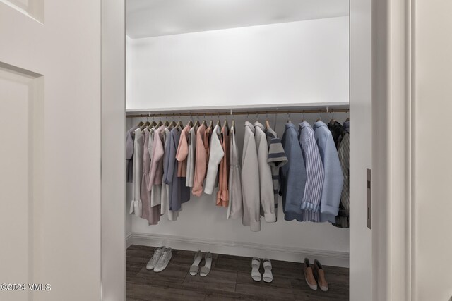 view of closet