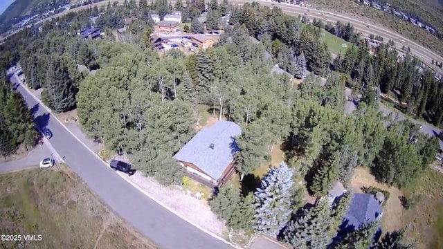 1613 Matterhorn Cir, Vail, CO 81657 - photo 21