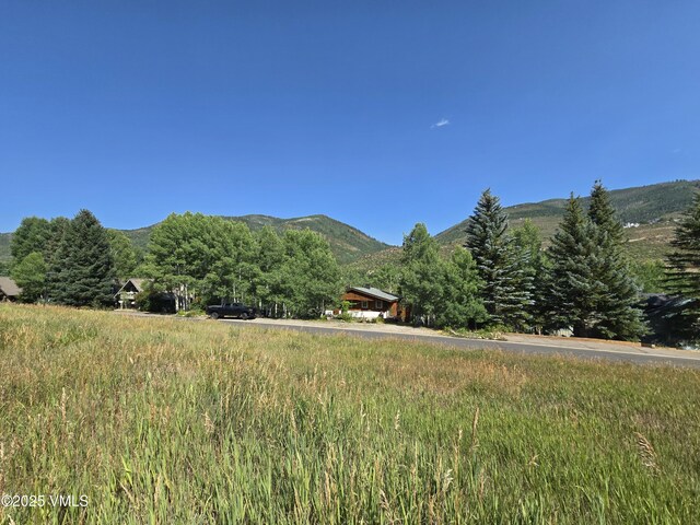 1613 Matterhorn Cir, Vail, CO 81657 - photo 2