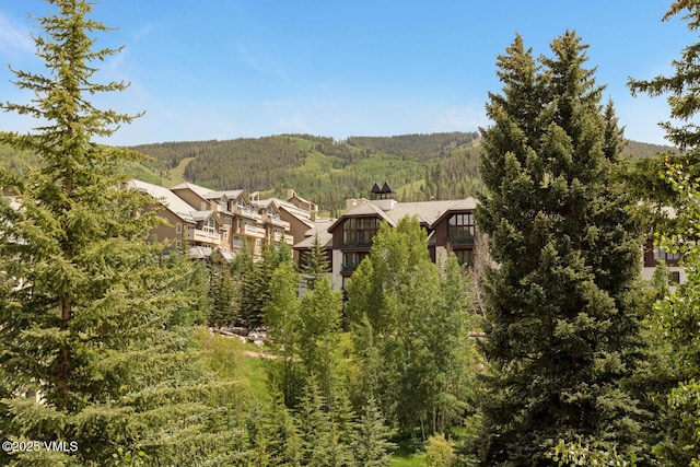 120 Offerson Unit 3430, Beaver Creek, CO 81620 - view of mountain background with a forest
