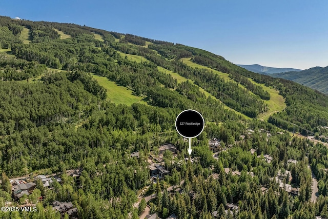 327 Rockledge Rd W, Unit W, Vail, CO 81657 - photo 31