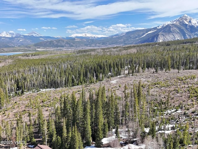 10000 Ryan Gulch Rd Unit 114, Silverthorne, CO 80498 - mountain view with a forest