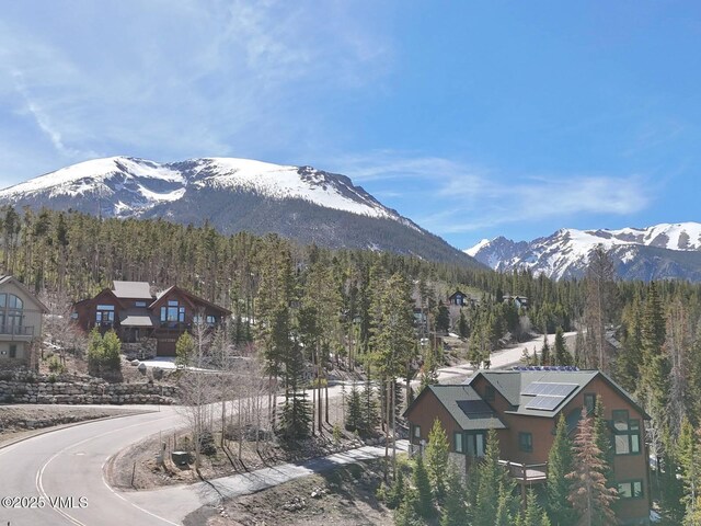 10000 Ryan Gulch Rd Unit 114, Silverthorne, CO 80498 - view of mountain background with a forest