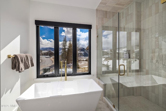 full bathroom featuring a freestanding tub, plenty of natural light, and a stall shower