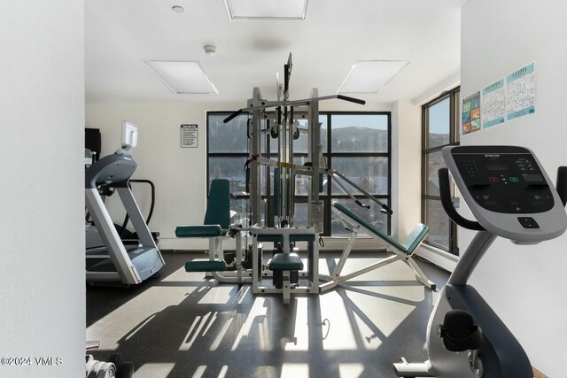 exercise room featuring floor to ceiling windows