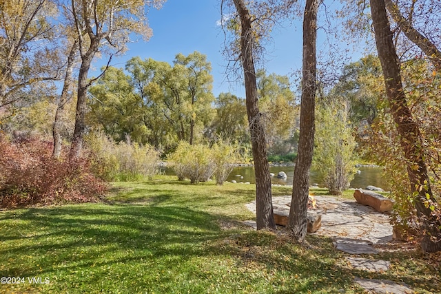 view of yard featuring a water view