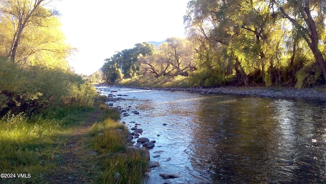 property view of water with a view of trees