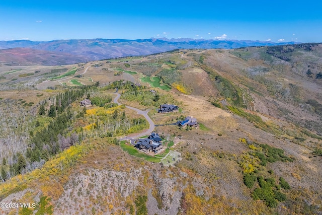 birds eye view of property featuring a mountain view