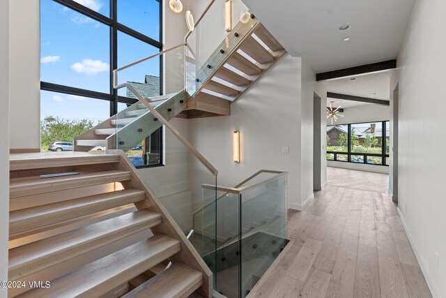 stairs with wood-type flooring