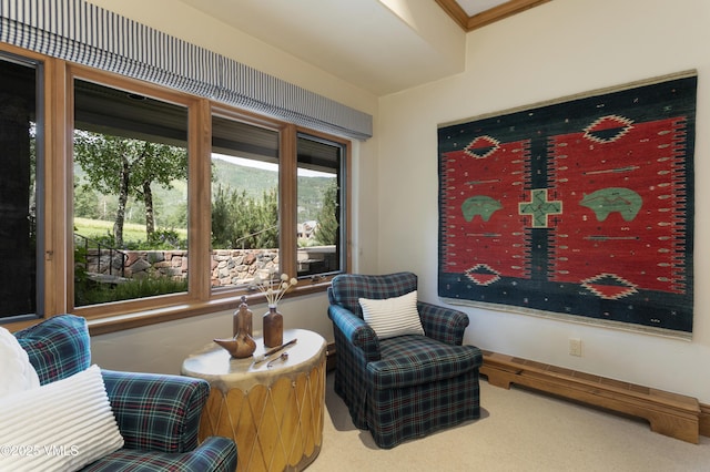 32 Greystone Ct, Beaver Creek, CO 81620 - sitting room with carpet flooring