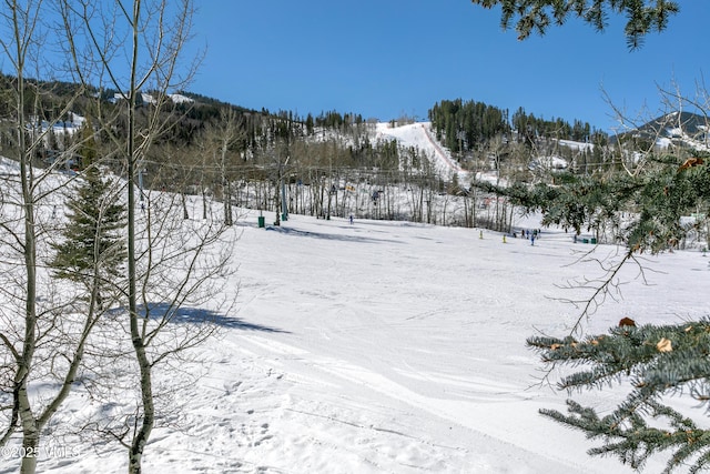 view of yard layered in snow