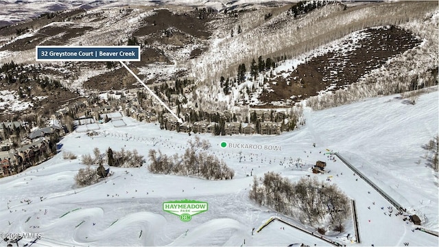 32 Greystone Ct, Beaver Creek, CO 81620 - view of snowy aerial view