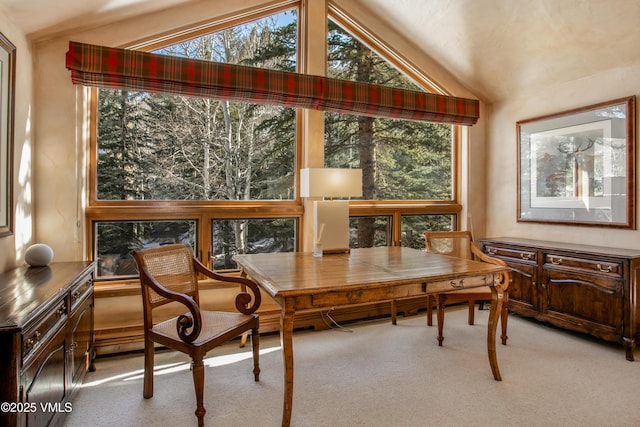 sunroom with vaulted ceiling