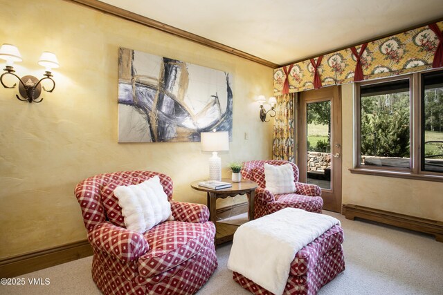 32 Greystone Ct, Beaver Creek, CO 81620 - sitting room featuring carpet and crown molding