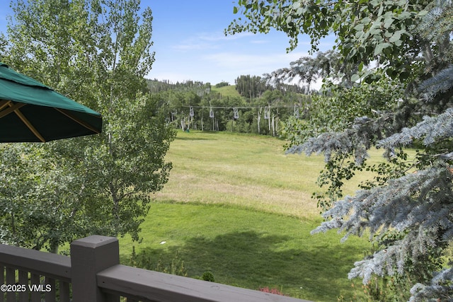 32 Greystone Ct, Beaver Creek, CO 81620 - view of green lawn