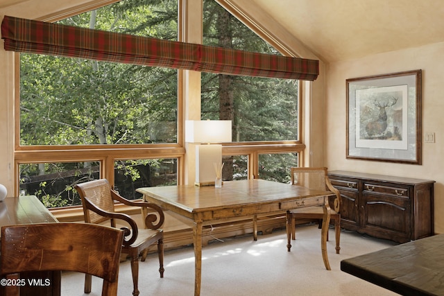 32 Greystone Ct, Beaver Creek, CO 81620 - carpeted office space featuring vaulted ceiling