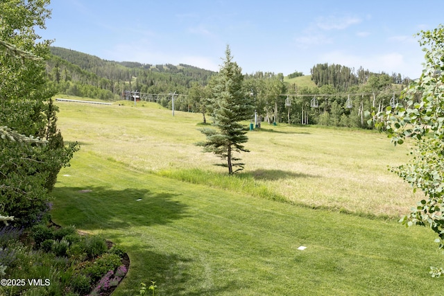 32 Greystone Ct, Beaver Creek, CO 81620 - view of home's community with a view of trees, a lawn, and a rural view