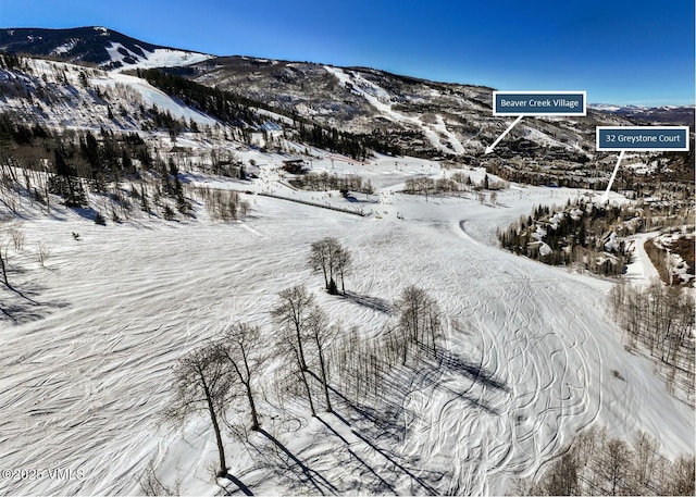 32 Greystone Ct, Beaver Creek, CO 81620 - mountain view