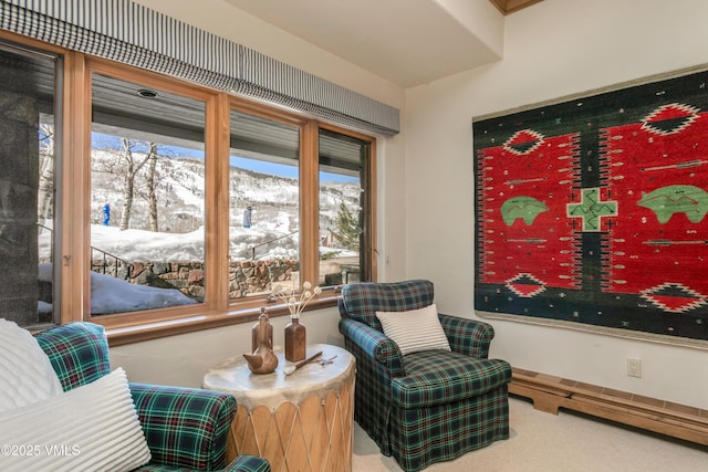 living area featuring a mountain view and carpet floors