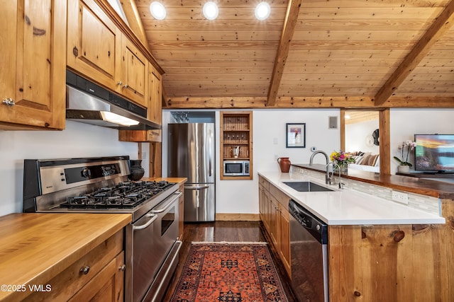 473 Pine St, Minturn, CO 81645 - kitchen featuring stainless steel appliances, under cabinet range hood, a peninsula, wooden ceiling, and dark wood-type flooring