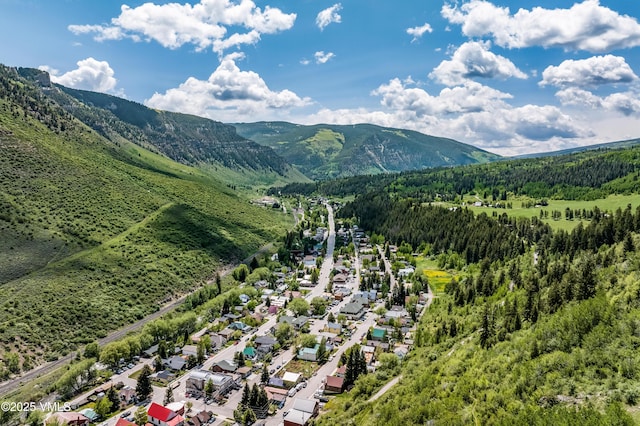 473 Pine St, Minturn, CO 81645 - view of mountain backdrop featuring a forest
