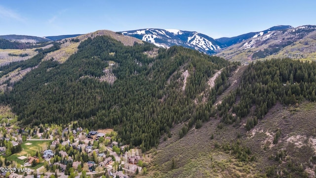 view of mountain backdrop featuring a heavily wooded area