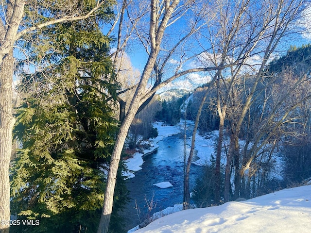 20 River Pines Ct Unit D105, Edwards, CO 81632 - water view