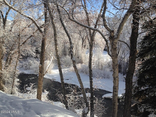 20 River Pines Ct Unit D105, Edwards, CO 81632 - water view