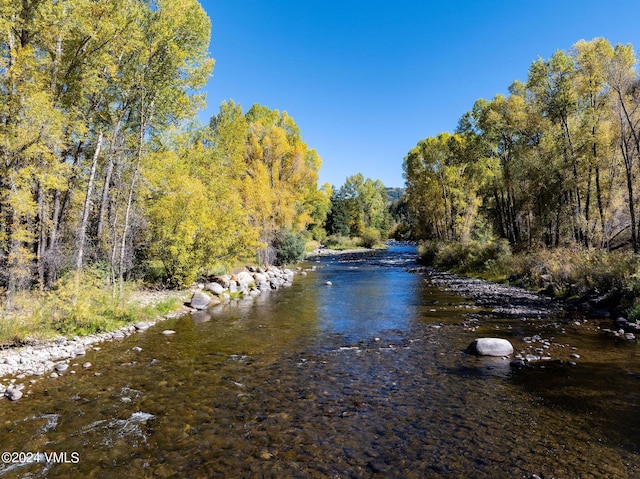 20 River Pines Ct Unit D105, Edwards, CO 81632 - water view with a heavily wooded area
