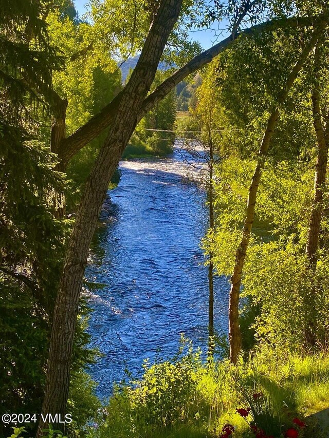 property view of water