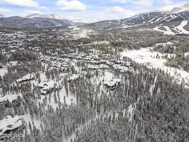592 Peerless Dr, Breckenridge, CO 80424