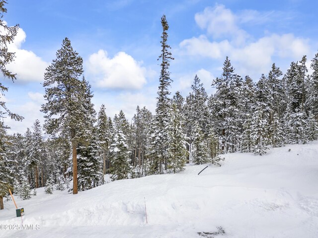 592 Peerless Dr, Breckenridge, CO 80424