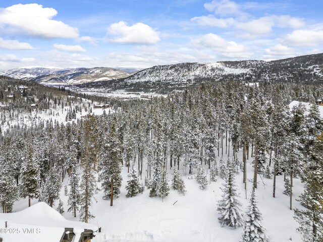 592 Peerless Dr, Breckenridge, CO 80424