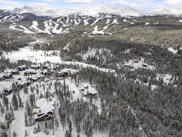 592 Peerless Dr, Breckenridge, CO 80424