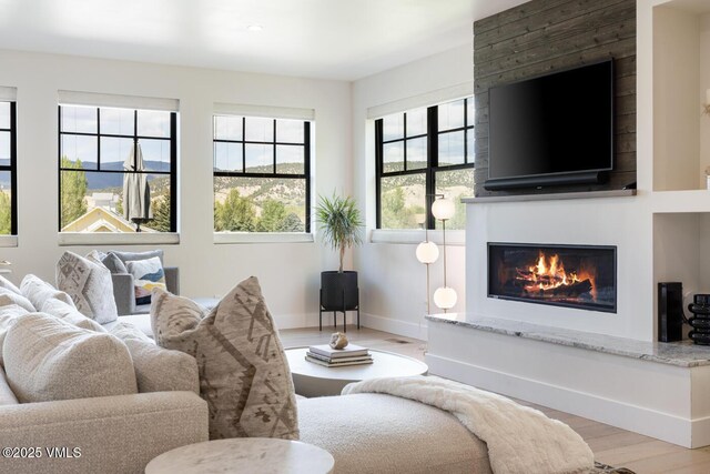 207 Aidan Rd, Eagle, CO 81631 - living area featuring wood finished floors, a large fireplace, and baseboards