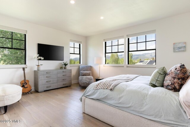 207 Aidan Rd, Eagle, CO 81631 - bedroom featuring wood finished floors, recessed lighting, and baseboards