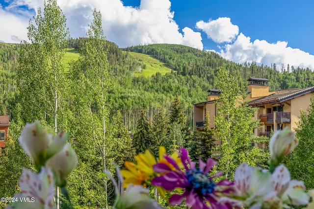 635 Lionshead Pl Unit 382, Vail, CO 81657 - photo 2