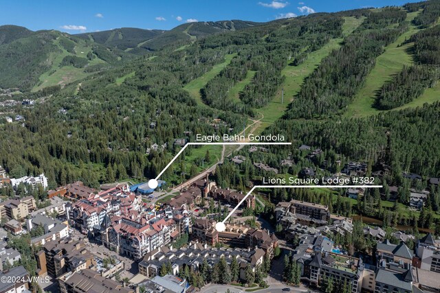 635 Lionshead Pl Unit 382, Vail, CO 81657 - photo 3