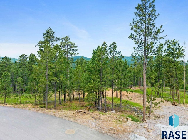 Dancing Sky Ln, Lead SD, 57754 land for sale