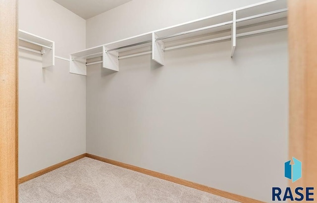 1437 N Mae Pl, Tea, SD 57064 - walk in closet with carpet flooring