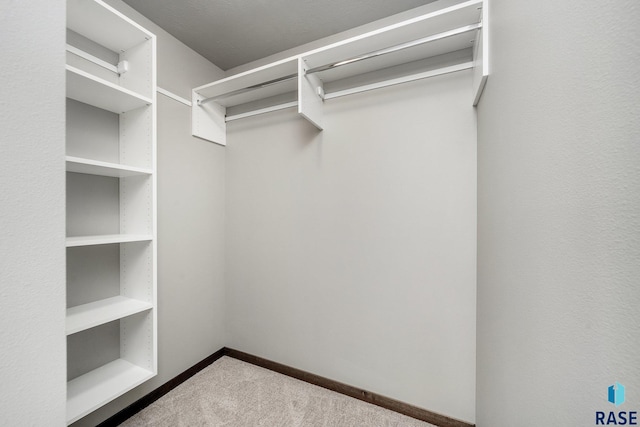 spacious closet featuring carpet flooring