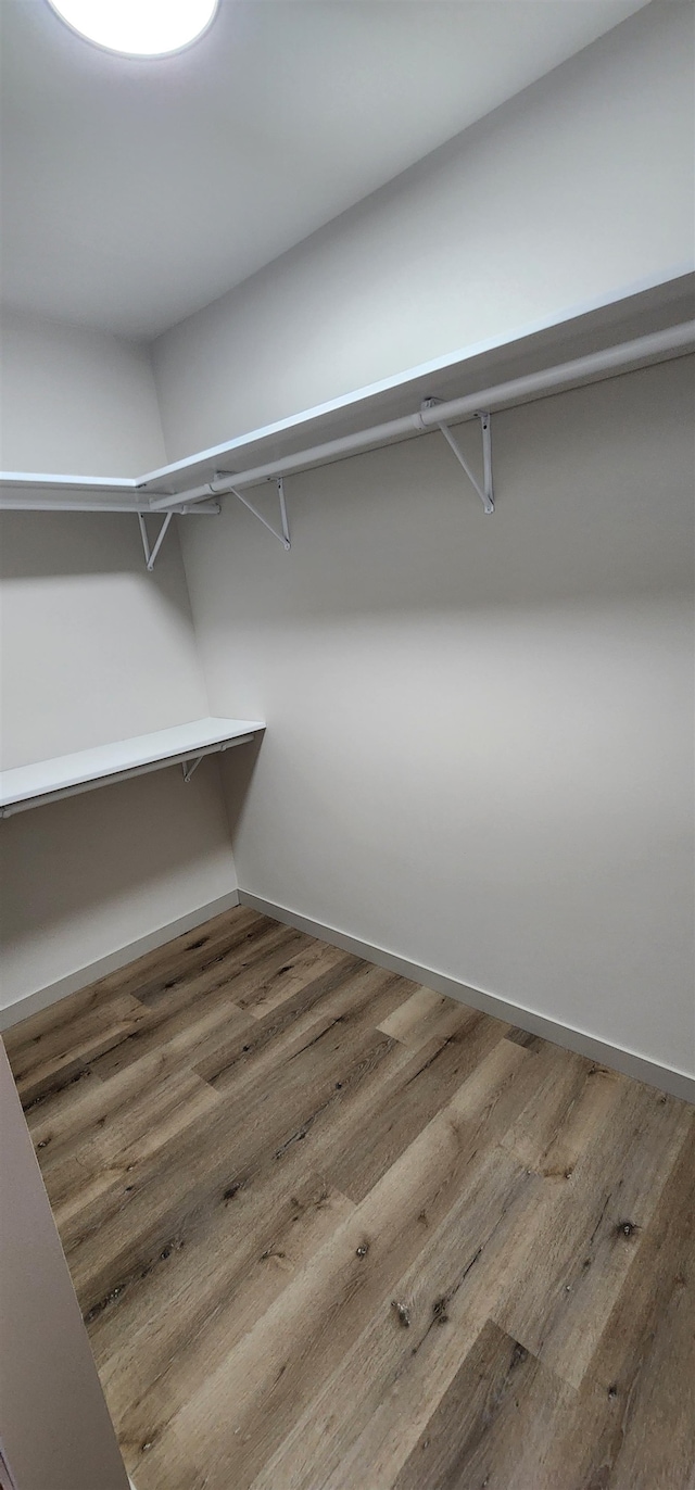 spacious closet featuring hardwood / wood-style flooring